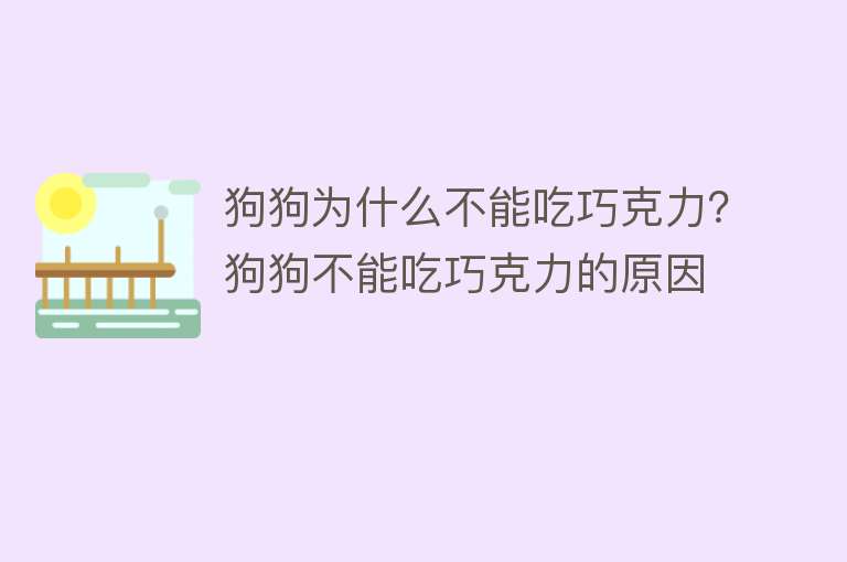 狗狗为什么不能吃巧克力？狗狗不能吃巧克力的原因