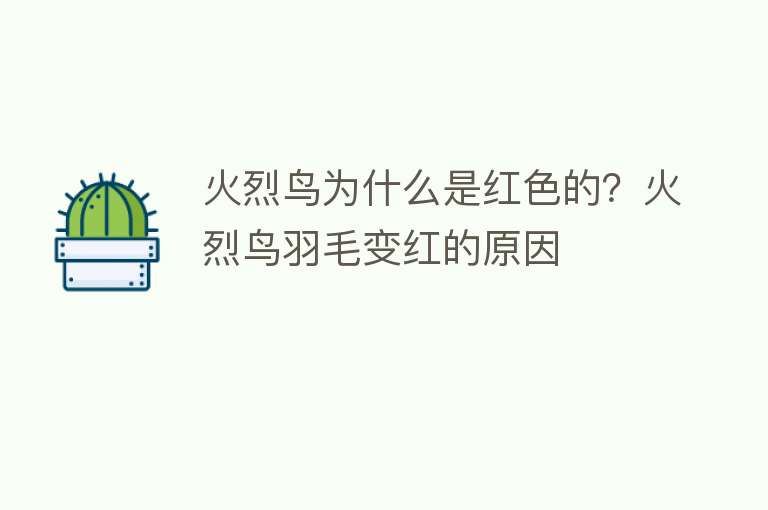 火烈鸟为什么是红色的？火烈鸟羽毛变红的原因