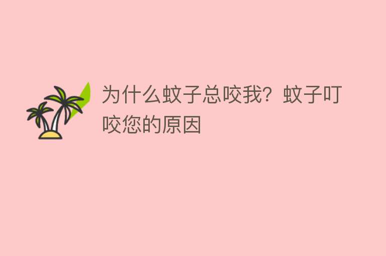 为什么蚊子总咬我？蚊子叮咬您的原因