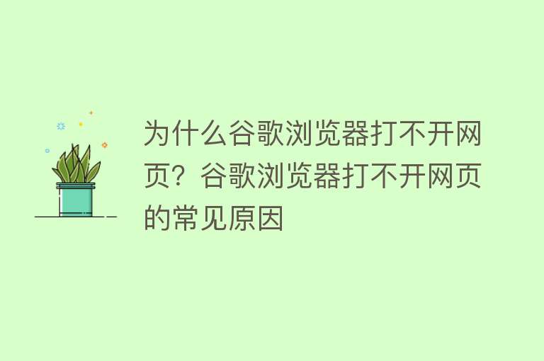 为什么谷歌浏览器打不开网页？谷歌浏览器打不开网页的常见原因