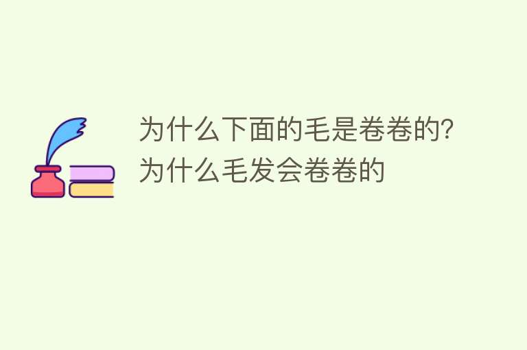 为什么下面的毛是卷卷的？为什么毛发会卷卷的