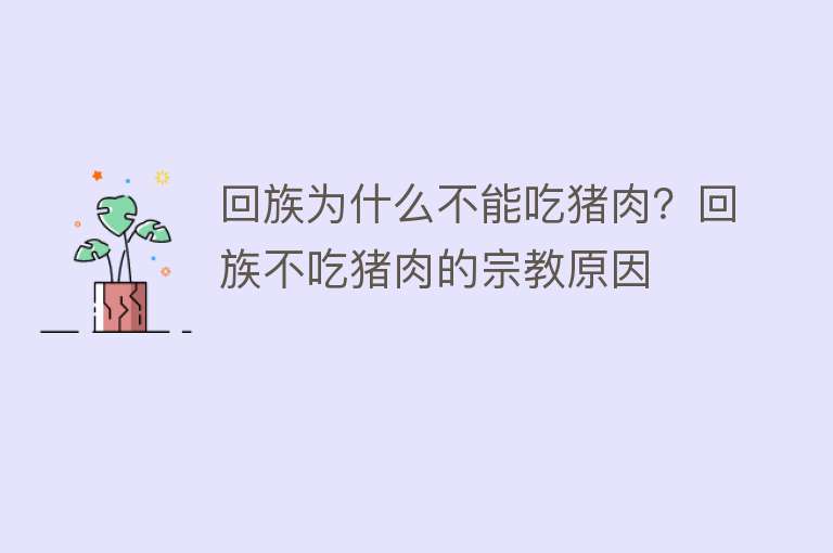 回族为什么不能吃猪肉？回族不吃猪肉的宗教原因