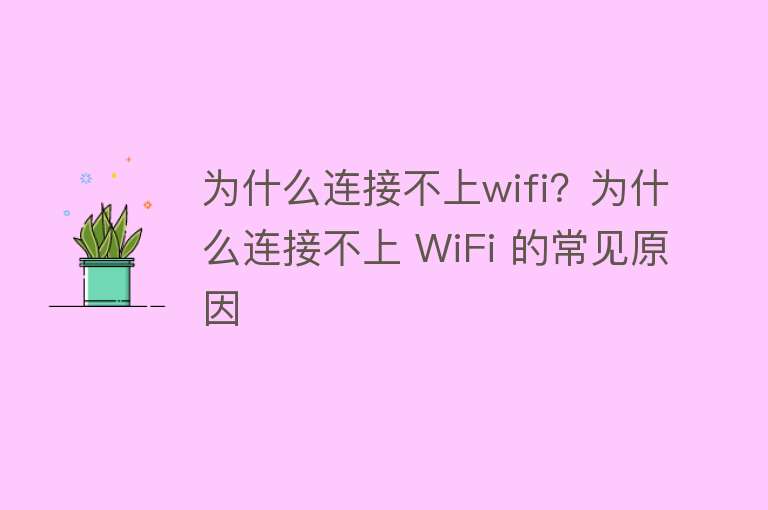 为什么连接不上wifi？为什么连接不上 WiFi 的常见原因