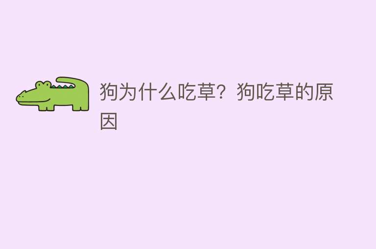 狗为什么吃草？狗吃草的原因