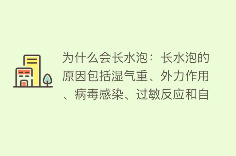 为什么会长水泡：长水泡的原因包括湿气重、外力作用、病毒感染、过敏反应和自身免疫性疾病