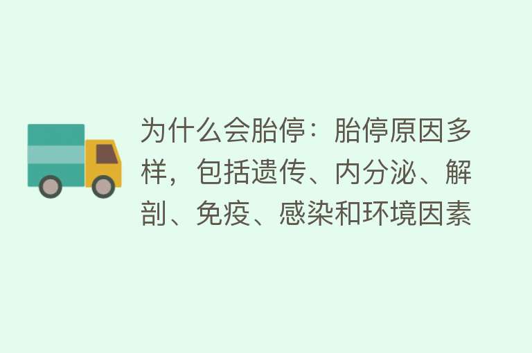 为什么会胎停：胎停原因多样，包括遗传、内分泌、解剖、免疫、感染和环境因素等