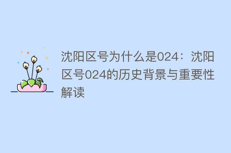 沈阳区号为什么是024：沈阳区号024的历史背景与重要性解读