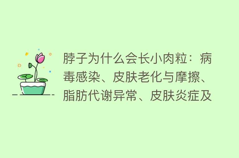 脖子为什么会长小肉粒：病毒感染、皮肤老化与摩擦、脂肪代谢异常、皮肤炎症及其他疾病