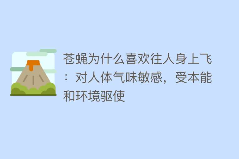 苍蝇为什么喜欢往人身上飞：对人体气味敏感，受本能和环境驱使