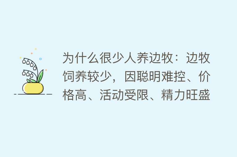 为什么很少人养边牧：边牧饲养较少，因聪明难控、价格高、活动受限、精力旺盛、掉毛多