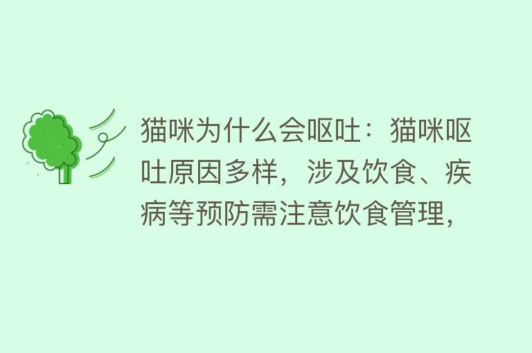 猫咪为什么会呕吐：猫咪呕吐原因多样，涉及饮食、疾病等预防需注意饮食管理，避免食物过敏