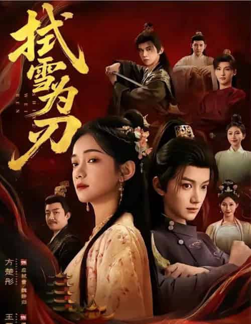 拭雪为刃(85集全)方楚彤&王夏桥-搜外项目网