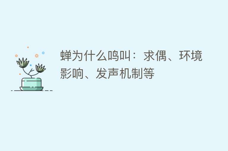 蝉为什么鸣叫：求偶、环境影响、发声机制等