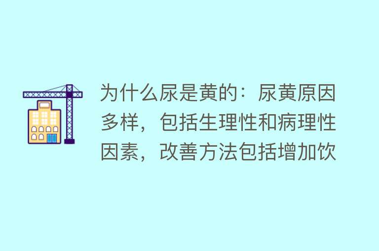 为什么尿是黄的：尿黄原因多样，包括生理性和病理性因素，改善方法包括增加饮水、调整饮食等