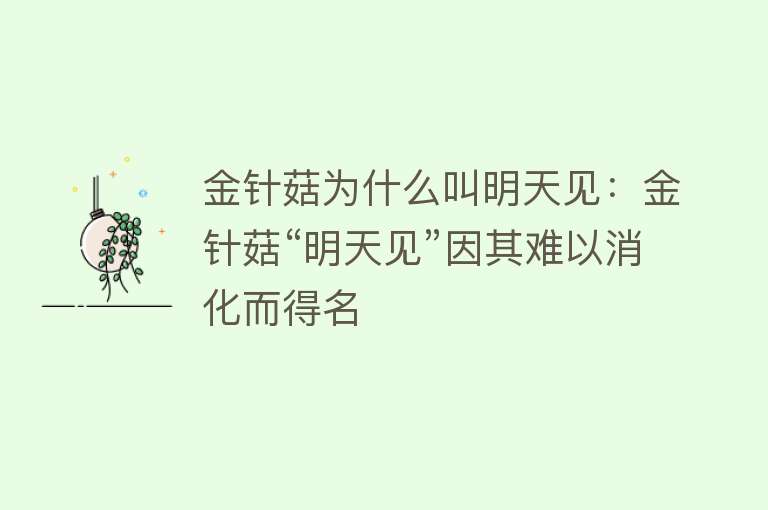 金针菇为什么叫明天见：金针菇“明天见”因其难以消化而得名