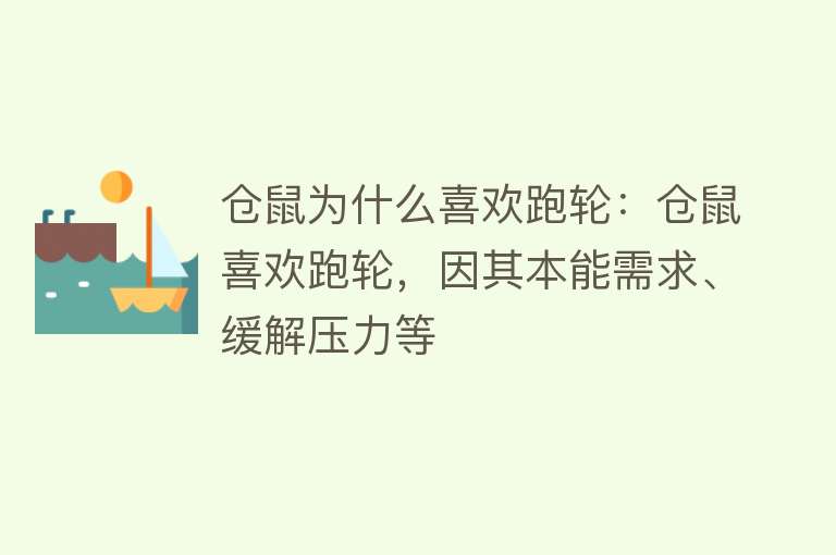 仓鼠为什么喜欢跑轮：仓鼠喜欢跑轮，因其本能需求、缓解压力等