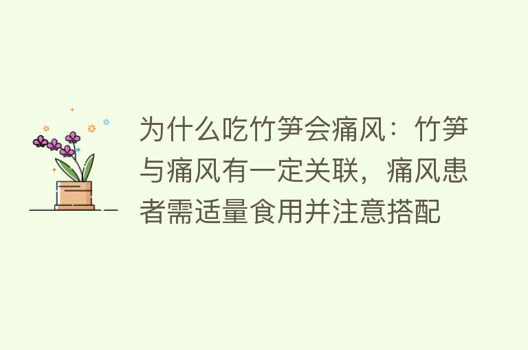 为什么吃竹笋会痛风：竹笋与痛风有一定关联，痛风患者需适量食用并注意搭配