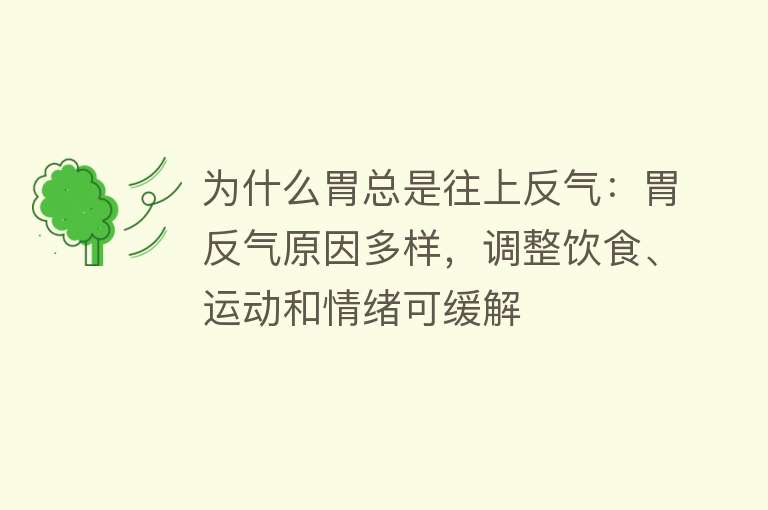 为什么胃总是往上反气：胃反气原因多样，调整饮食、运动和情绪可缓解