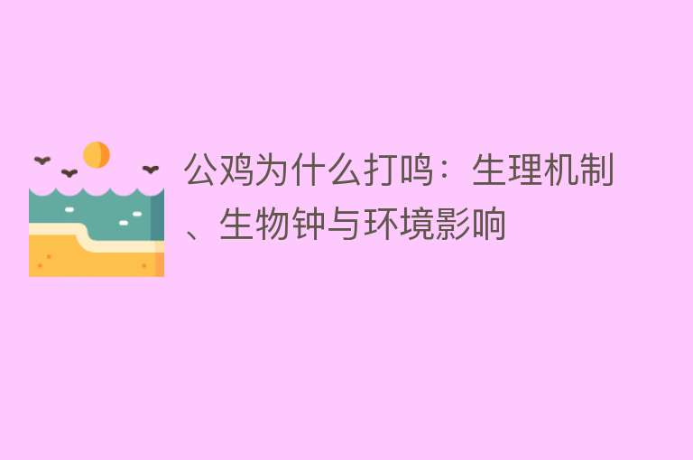 公鸡为什么打鸣：生理机制、生物钟与环境影响