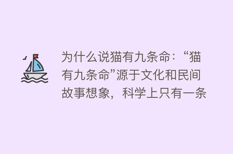 为什么说猫有九条命：“猫有九条命”源于文化和民间故事想象，科学上只有一条生命