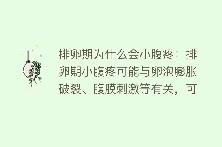 排卵期为什么会小腹疼：排卵期小腹疼可能与卵泡膨胀破裂、腹膜刺激等有关，可热敷、按摩缓解，严重时就医