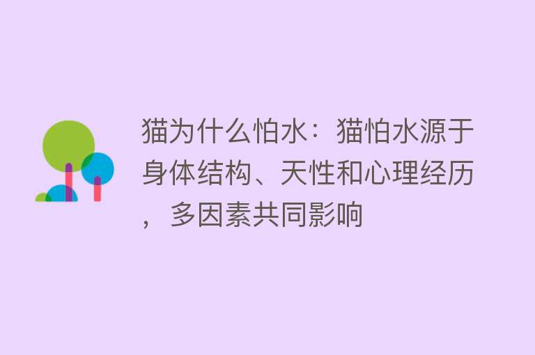 猫为什么怕水：猫怕水源于身体结构、天性和心理经历，多因素共同影响