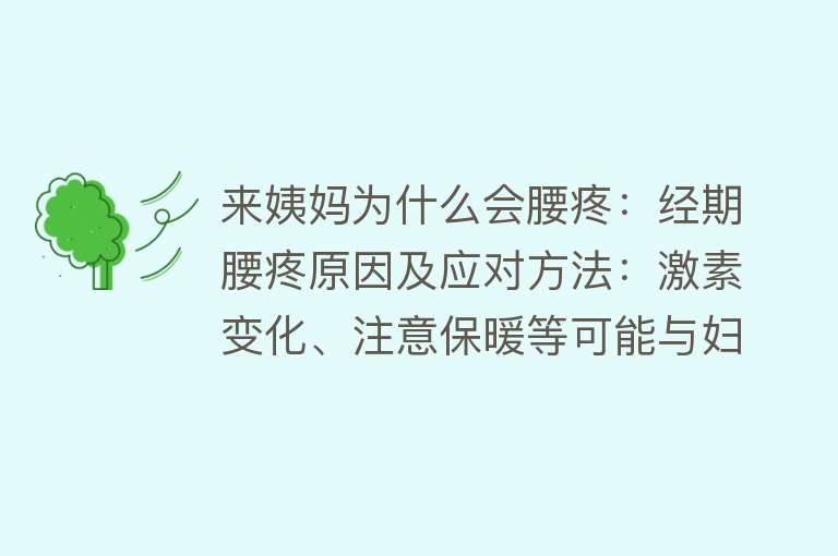 来姨妈为什么会腰疼：经期腰疼原因及应对方法：激素变化、注意保暖等可能与妇科疾病有关