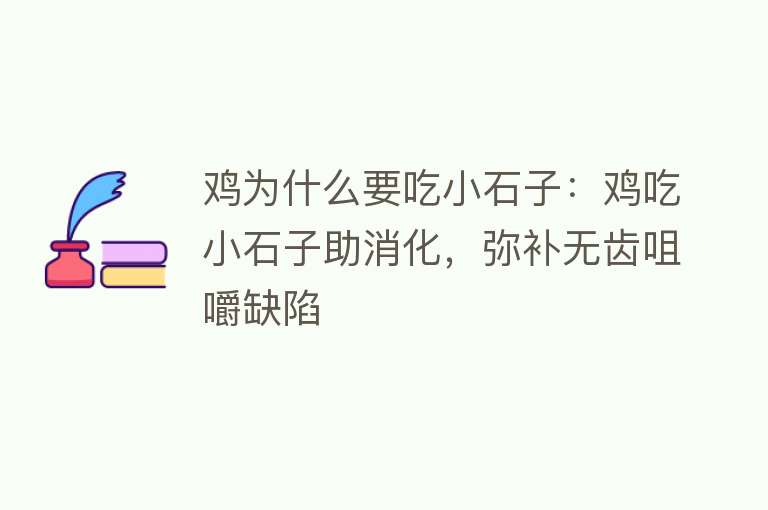 鸡为什么要吃小石子：鸡吃小石子助消化，弥补无齿咀嚼缺陷