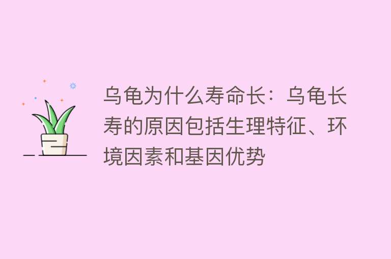 乌龟为什么寿命长：乌龟长寿的原因包括生理特征、环境因素和基因优势