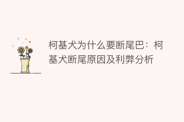 柯基犬为什么要断尾巴：柯基犬断尾原因及利弊分析