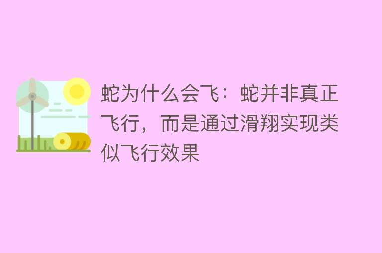 蛇为什么会飞：蛇并非真正飞行，而是通过滑翔实现类似飞行效果