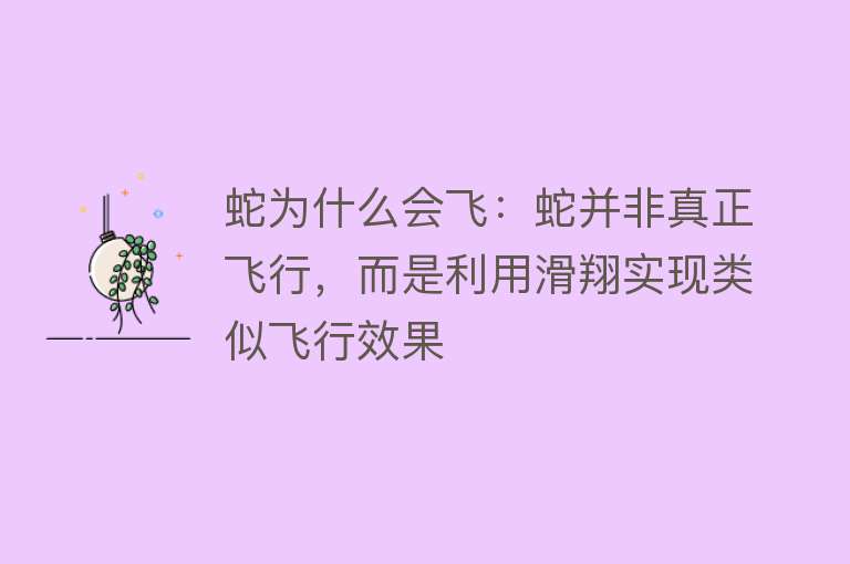 蛇为什么会飞：蛇并非真正飞行，而是利用滑翔实现类似飞行效果