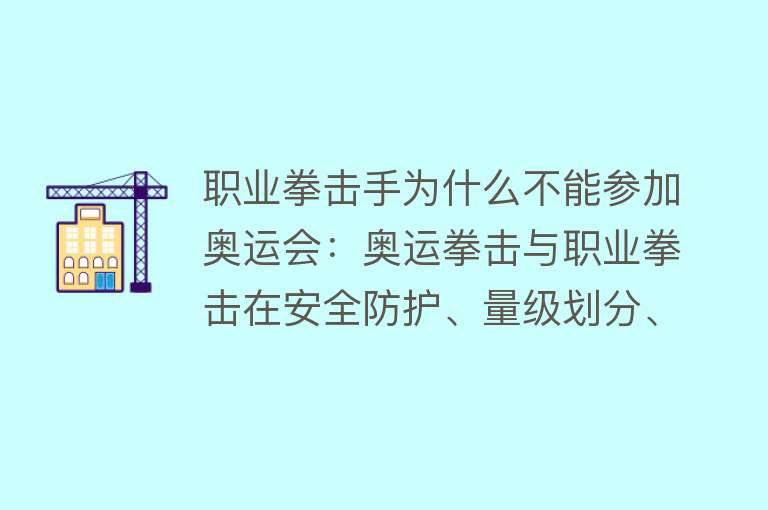 职业拳击手为什么不能参加奥运会：奥运拳击与职业拳击在安全防护、量级划分、收入模式、比赛规则等方面存在显著差异和挑战