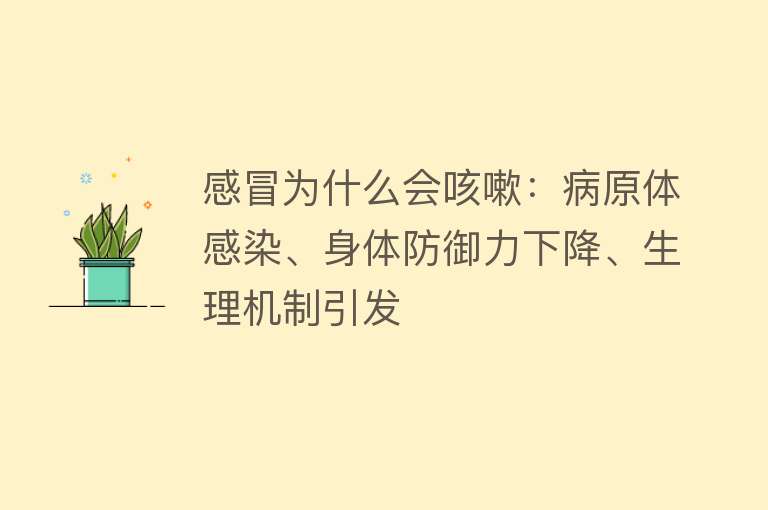 感冒为什么会咳嗽：病原体感染、身体防御力下降、生理机制引发