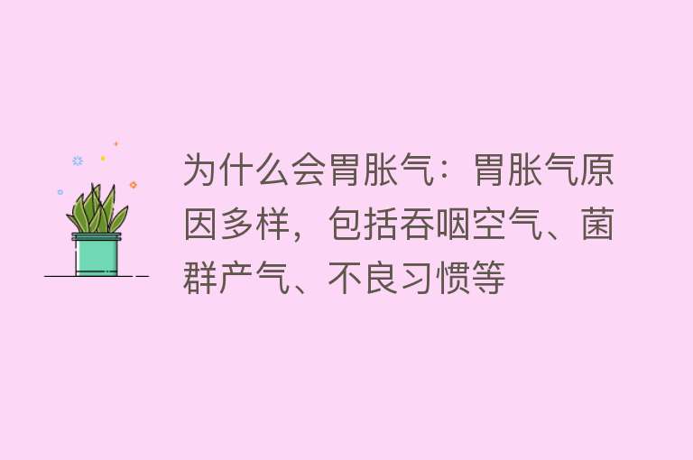 为什么会胃胀气：胃胀气原因多样，包括吞咽空气、菌群产气、不良习惯等