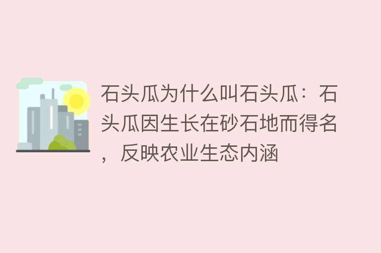 石头瓜为什么叫石头瓜：石头瓜因生长在砂石地而得名，反映农业生态内涵