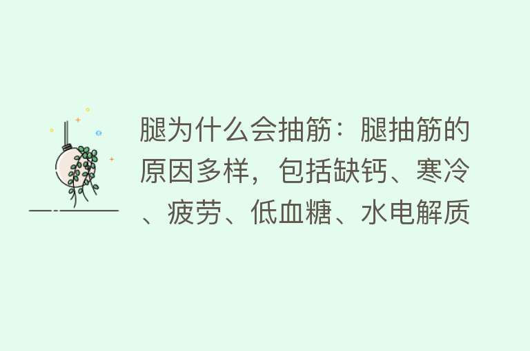 腿为什么会抽筋：腿抽筋的原因多样，包括缺钙、寒冷、疲劳、低血糖、水电解质失衡、神经系统问题、局部血液循环不畅等