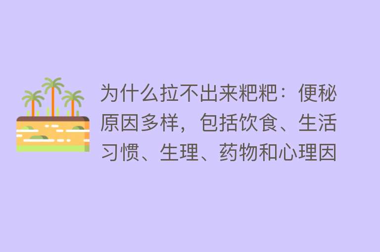 为什么拉不出来粑粑：便秘原因多样，包括饮食、生活习惯、生理、药物和心理因素