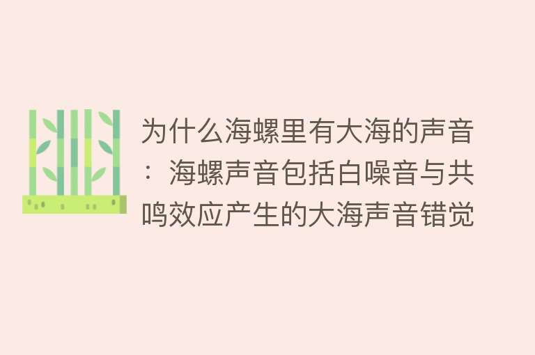 为什么海螺里有大海的声音：海螺声音包括白噪音与共鸣效应产生的大海声音错觉