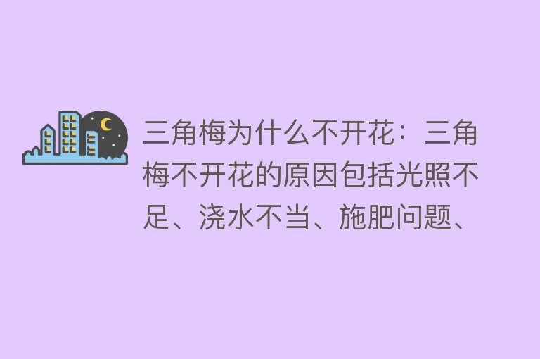 三角梅为什么不开花：三角梅不开花的原因包括光照不足、浇水不当、施肥问题、修剪不当、生长空间不足和温度不适