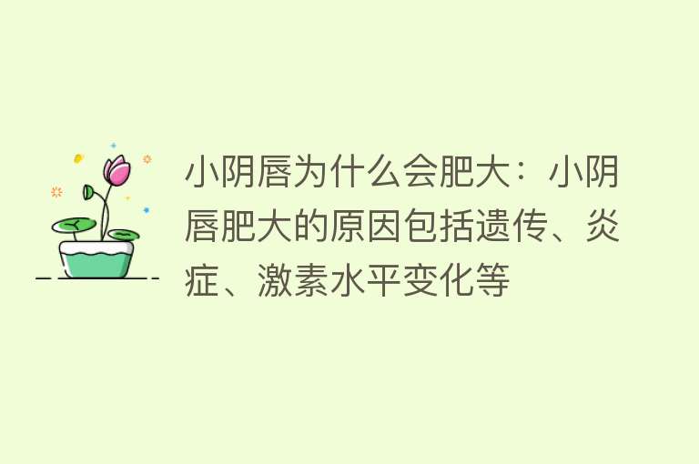 小阴唇为什么会肥大：小阴唇肥大的原因包括遗传、炎症、激素水平变化等