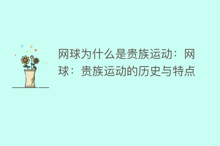 网球为什么是贵族运动：网球：贵族运动的历史与特点