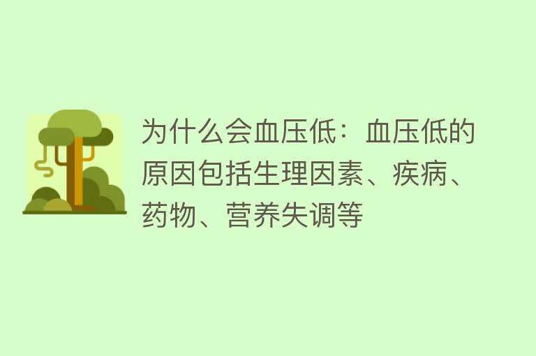 为什么会血压低：血压低的原因包括生理因素、疾病、药物、营养失调等