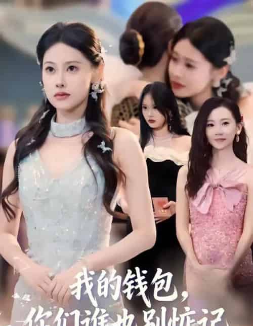 我的钱包,你们谁也别惦记(56集全)李尤&赵姝闻-搜外项目网