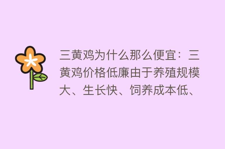 三黄鸡为什么那么便宜：三黄鸡价格低廉由于养殖规模大、生长快、饲养成本低、养殖周期短及市场竞争激烈