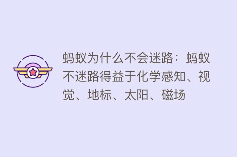 蚂蚁为什么不会迷路：蚂蚁不迷路得益于化学感知、视觉、地标、太阳、磁场