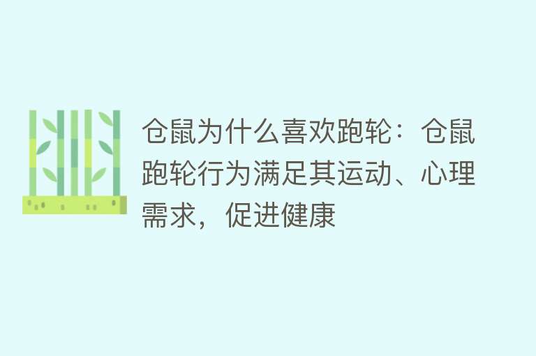 仓鼠为什么喜欢跑轮：仓鼠跑轮行为满足其运动、心理需求，促进健康