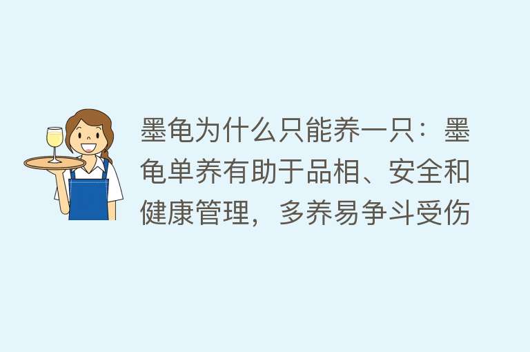 墨龟为什么只能养一只：墨龟单养有助于品相、安全和健康管理，多养易争斗受伤