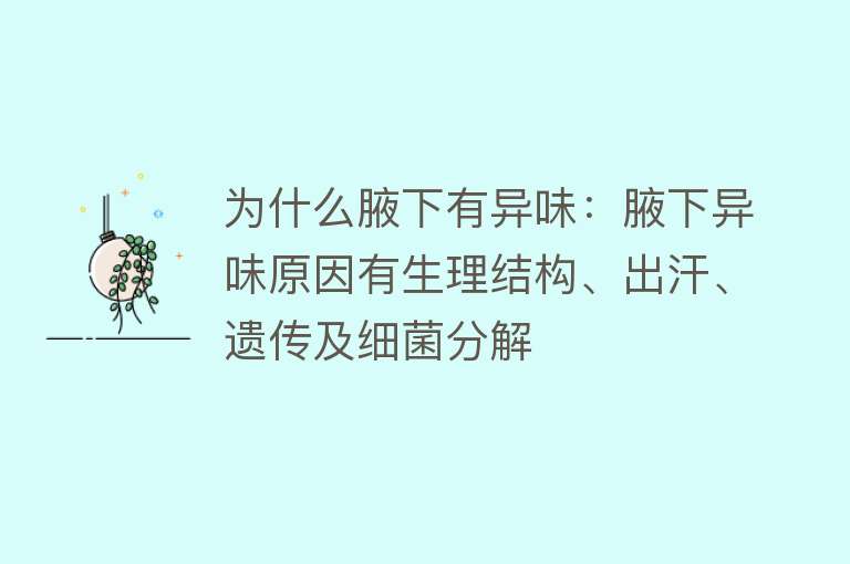 为什么腋下有异味：腋下异味原因有生理结构、出汗、遗传及细菌分解