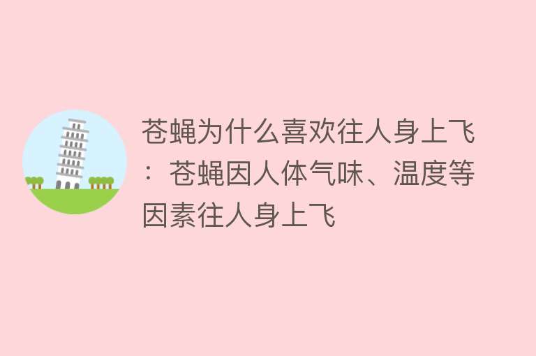 苍蝇为什么喜欢往人身上飞：苍蝇因人体气味、温度等因素往人身上飞